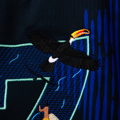 Brazil Away Rainforest