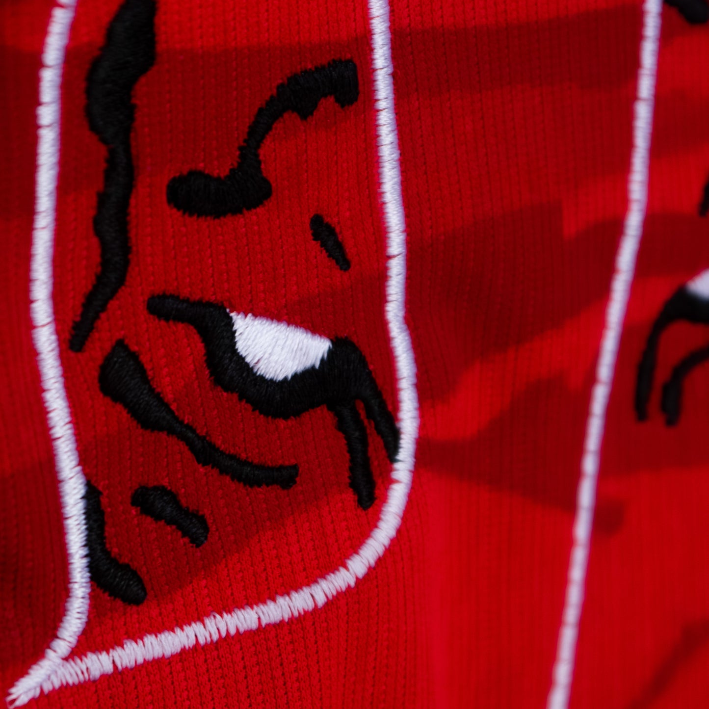 South Korea Home Son