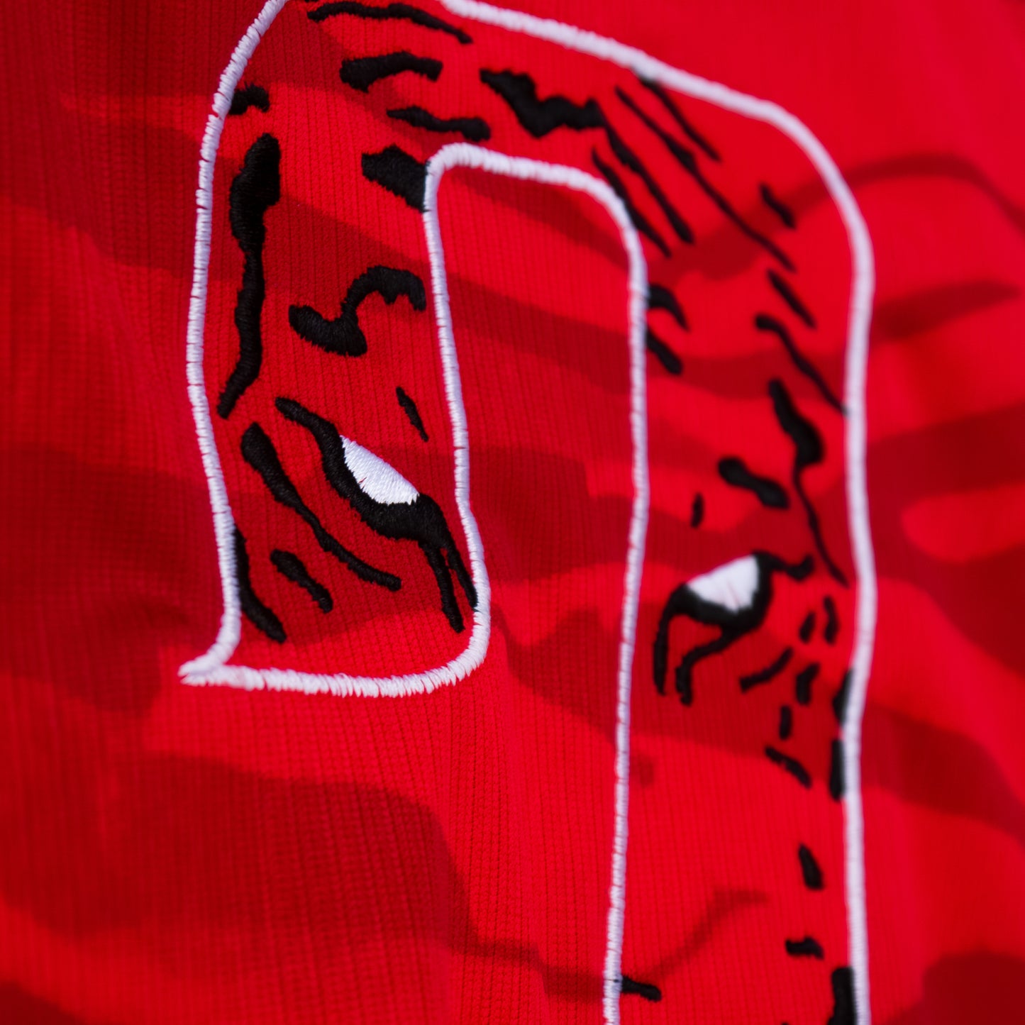 South Korea Home Son