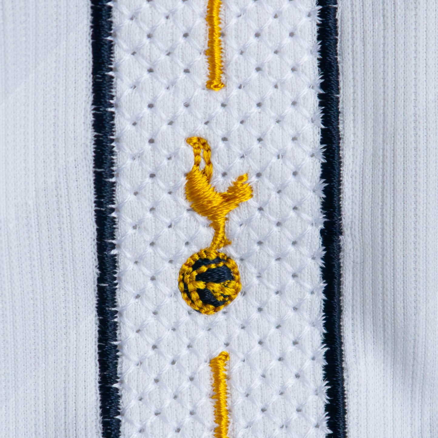 Tottenham Hotspurs Home